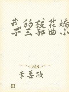 我的校花娇妻叶子三部曲小说封面