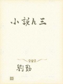 小说h三