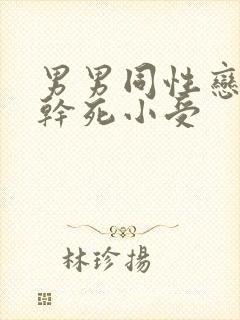 男男同性恋小说干死小受