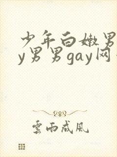 少年白嫩男gay男男gay网站封面