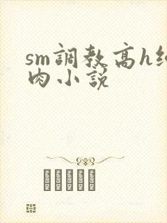 sm调教高h纯肉小说