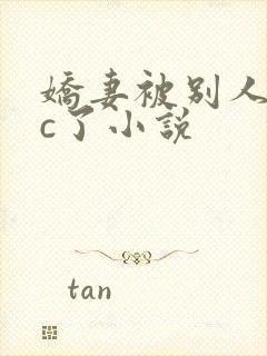 娇妻被别人内谢c了小说