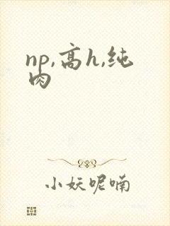 np,高h,纯肉