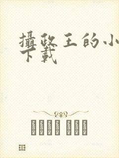 摄政王的小闲妻下载封面