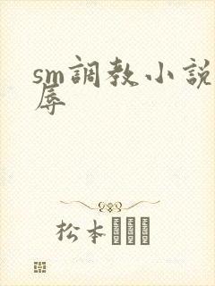 sm调教小说羞辱封面