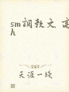 sm调教文 高h封面