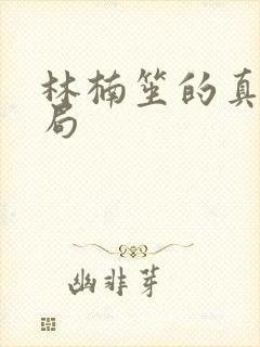 林楠笙的真实结局