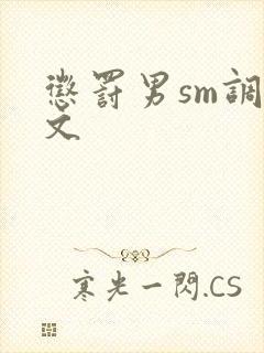 惩罚男sm调教文