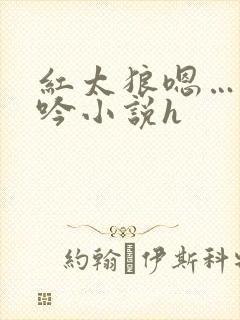 红太狼嗯…啊呻吟小说h