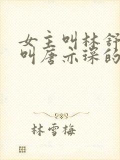 女主叫林舒男主叫唐亦琛的小说