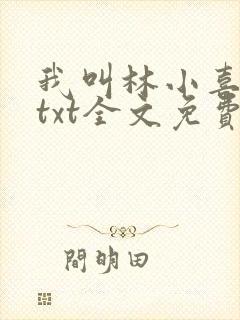 我叫林小喜乖宝txt全文免费阅读