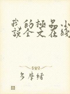 我的极品小姨小说全文在线阅读