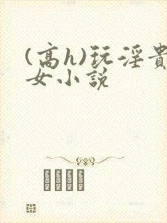(高h)玩淫贵女小说