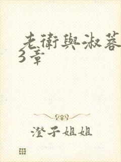 老卫与淑蓉第13章封面