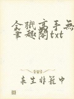 全职高手无弹窗笔趣阁txt封面