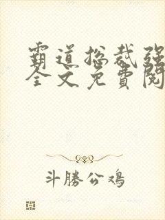 霸道总裁强势宠全文免费阅读全文封面