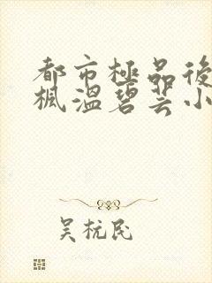 都市极品后宫唐枫温碧芸小说