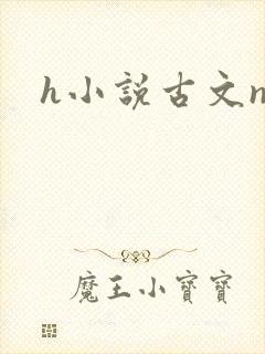 h小说古文np