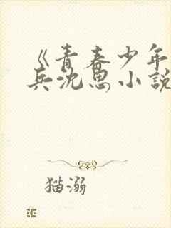 《青春少年》李兵沈思小说
