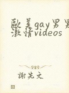 欧美gay男男激情videos