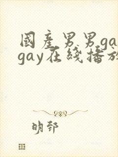 国产男男gaygay在线播放