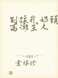 别揉我奶头嗯啊高潮主人