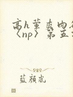 高h荤爽肉欲文〈np〉第五次