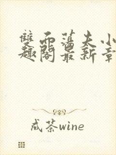 双面荡夫小说笔趣阁最新章节免费阅读封面