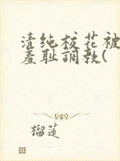 清纯校花被民工羞耻调教(