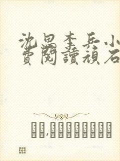 沈思李兵小说免费阅读顽石网