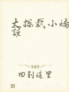 大总裁小娇妻小说