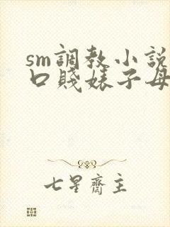 sm调教小说重口贱婊子母狗