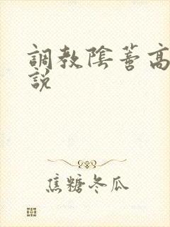 调教阴蒂高h小说封面