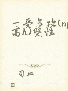 一受多攻(np高h)双性