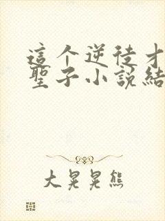 这个逆徒才不是圣子小说结局