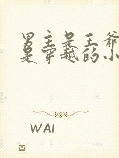 男主是王爷女主是穿越的小说