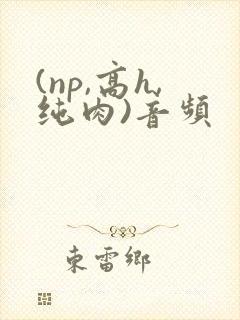 (np,高h,纯肉)音频