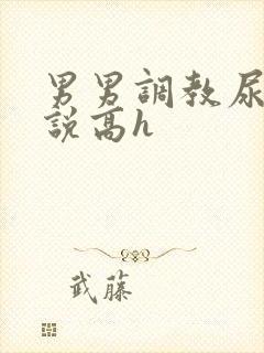 男男调教尿道小说高h