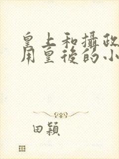 皇上和摄政王共用皇后的小说