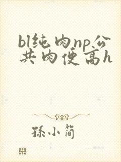 bl纯肉np公共肉便高h