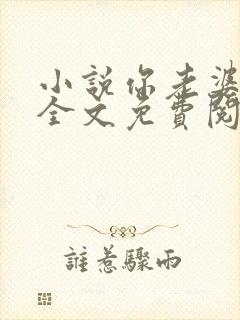 小说你老婆掉了全文免费阅读