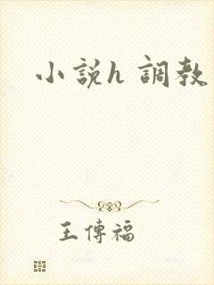 小说h 调教
