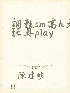 调教sm高h文玩具play