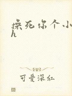 操死你个小骚货h