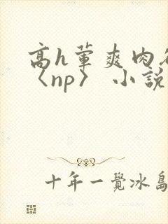 高h荤爽肉欲文〈np〉 小说