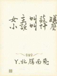 女主叫苏映雪的小说叫什么名字