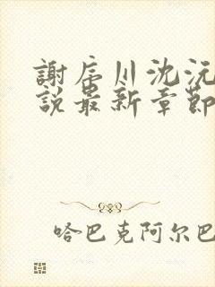 谢序川沈沅珠小说最新章节免费阅读