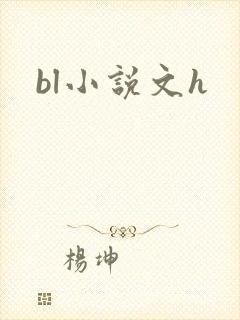 bl小说文h