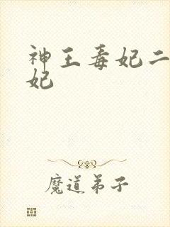神王毒妃二嫁王妃