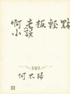 啊老板轻点高h小说